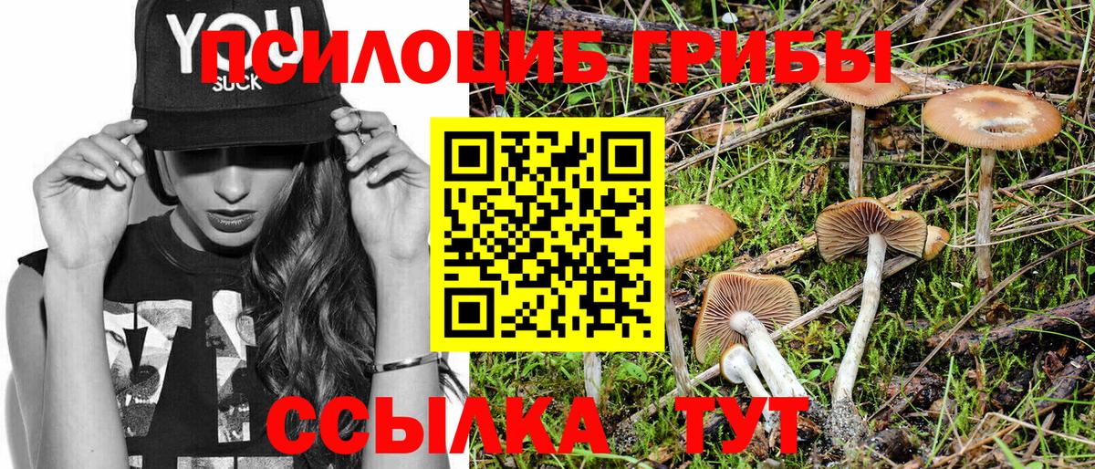 Галлюциногенные грибы прущие грибы  Вход с VPN  Псков  Галлюциногенные грибы GOLDEN TEACHER 