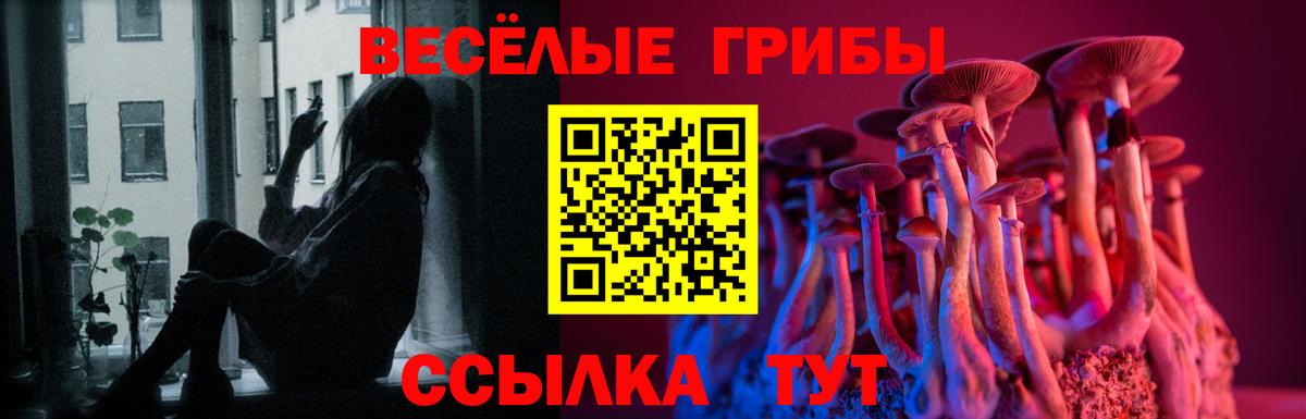 Псилоцибиновые грибы мицелий Псков